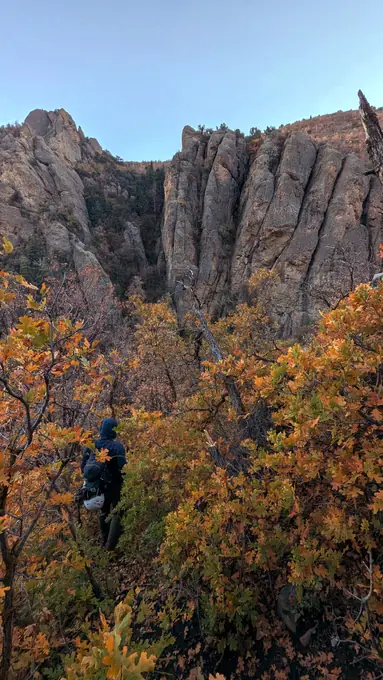 Tachycardia Downclimb